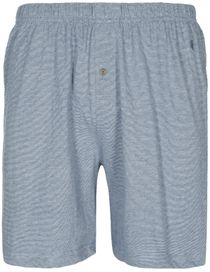 Homewear Pyjama Shorts - Denim Offwhite